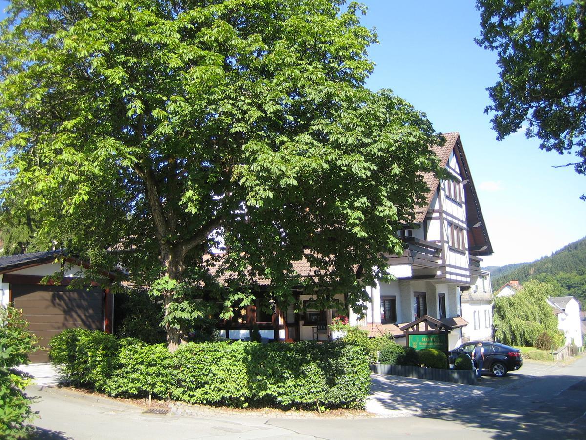 Hotel Pension Berghaus Sieben Bad Laasphe Buitenkant foto
